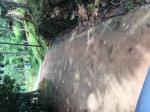 photo0