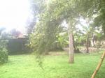 photo of 43-6641