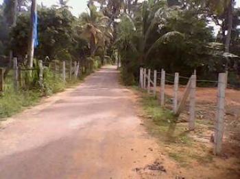 Photo of For Sale - Bopitiya Pamunugama in Danweem.com