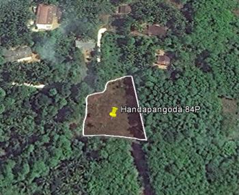 Photo of Land For Sale  In Handapangoda, Bope in Danweem.com