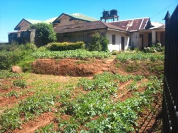 Photo of In The Heart Of Nuwara Eliya in Danweem.com