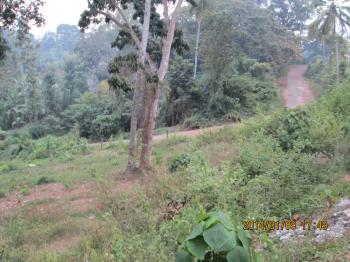 Photo of For Sale In Moratuwa Facing To Bolgoda River in Danweem.com