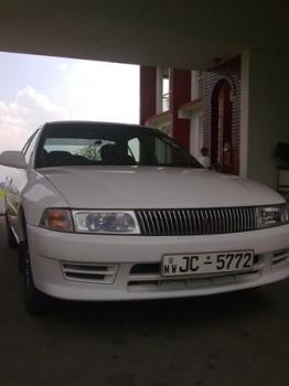 Photo of Nature Tours in Danweem.com