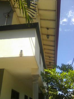 Photo of Stair House For Rent In Homagama Uduwana Junction in Danweem.com