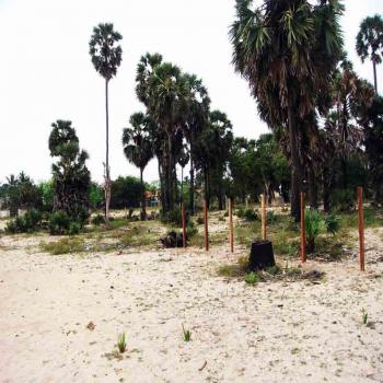 Photo of For Sale At Kalpitiya in Danweem.com