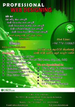 Photo of Web Solutions Is A Professional Web Design Company in Danweem.com