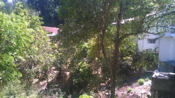 Photo of Land In Kandy  Rajapihilla Mw in Danweem.com