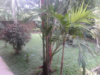 Photo of House For Rent Ragama Road In Kadawatha in Danweem.com