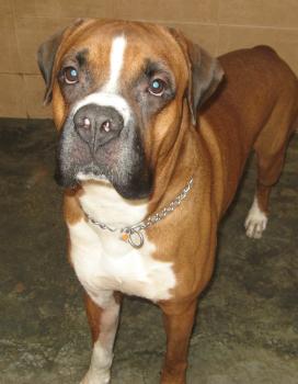 Photo of For Sale in Danweem.com