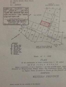 Photo of For Sale In Ja-ela, Colombo Negambo Main Road in Danweem.com