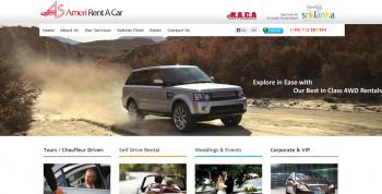 Photo of Web Design Service - Designsolv.com in Danweem.com