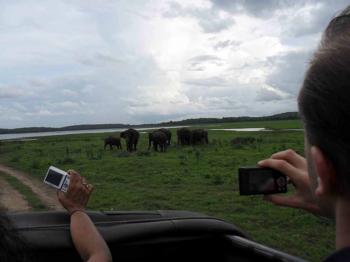 Photo of Journey in Danweem.com