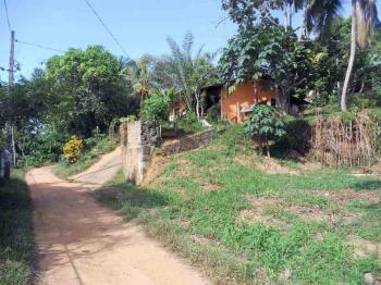 Photo of For Immediate Sale In Ambepussa in Danweem.com