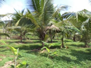 Photo of Land For Sale Yatadola Waththa, Matugama in Danweem.com