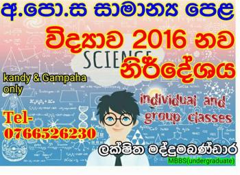 Photo of Tution For Ol Students Grade 6 To 11 Kandy in Danweem.com