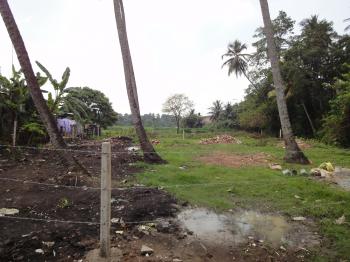 Photo of In Katubedda, Moratuwa. In Sri Rahula Road in Danweem.com