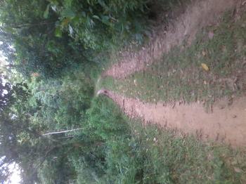 Photo of For Sale Galle District,  Akmeeman Electrote in Danweem.com