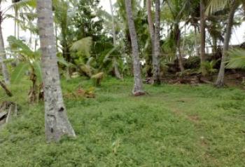 Photo of Land For Sale Homagama, Diyagama in Danweem.com