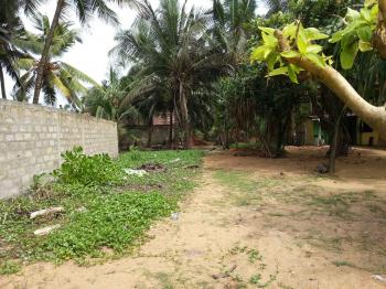 Photo of For Sale In Kalutara Beach. in Danweem.com