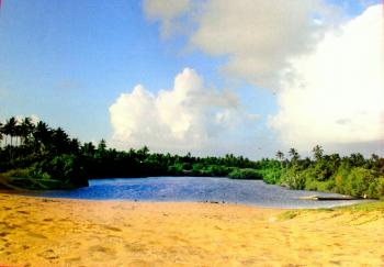 Photo of Ideal For A Luxury Hotel / Cabanas Or Water Bungalow in Danweem.com