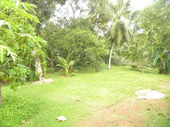 Photo of For Sale With Small House  Hena, Beruwala in Danweem.com