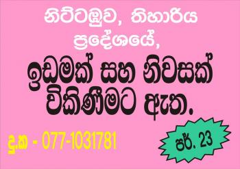 Photo of With House For Sale In Thihariya, Nittabuwa. in Danweem.com