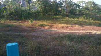 Photo of Valuable Land For Sale in Danweem.com