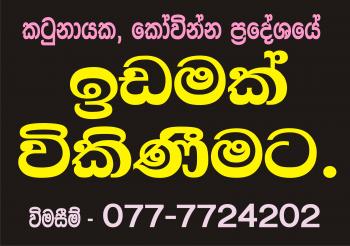 Photo of Land For Sale In Kovinna, Katunayake. in Danweem.com