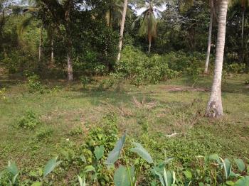 Photo of Perch Land For Sale In Govinna, Horana in Danweem.com
