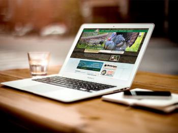 Photo of Site Designing In Negombo in Danweem.com