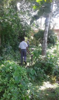 Photo of Perches Coconut Plantation - Waligama  Galle - Matara Rd in Danweem.com